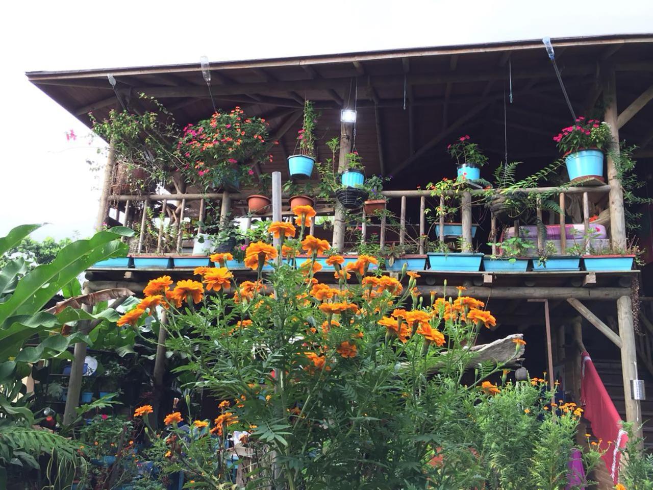 Wood House Hostel La Fortuna Exterior foto