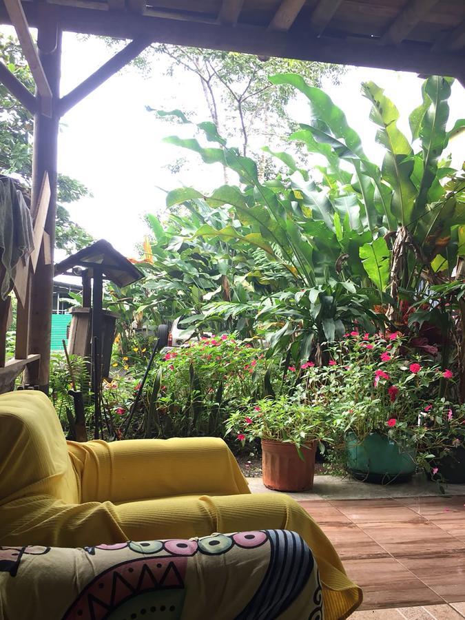 Wood House Hostel La Fortuna Exterior foto